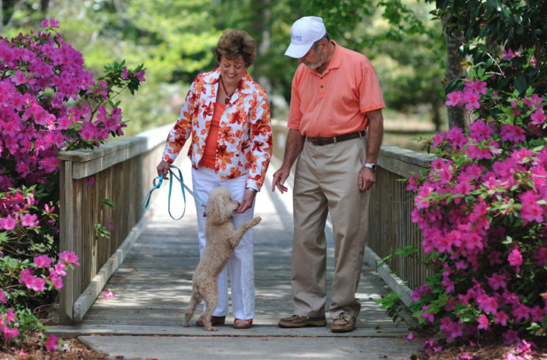elderly couple walking a dog